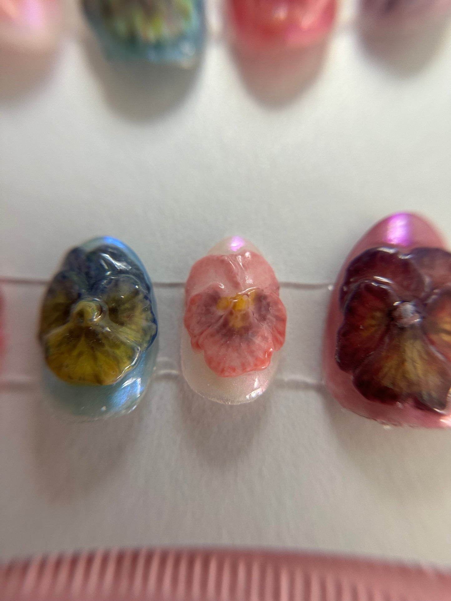 Iris